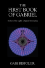 Image for First Book of Gabriel: Seeker of the Light: Original Screenplay