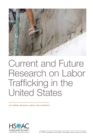 Image for Current and Future Research on Labor Trafficking in the United States