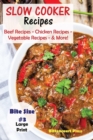 Image for Slow Cooker Recipes - Bite Size #3 : Beef Recipes - Chicken Recipes - Vegetable Recipes - &amp; More!