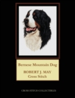 Image for Bernese Mountain Dog