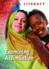 Image for Examining Assimilation