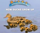 Image for How Ducks Grow Up