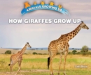 Image for How Giraffes Grow Up