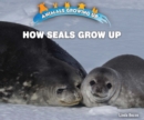 Image for How Seals Grow Up
