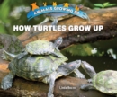Image for How Turtles Grow Up