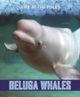 Image for Beluga Whales
