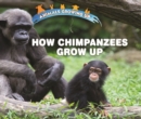 Image for How Chimpanzees Grow Up