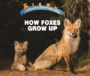 Image for How Foxes Grow Up