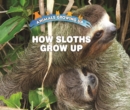Image for How Sloths Grow Up
