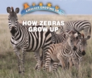 Image for How Zebras Grow Up