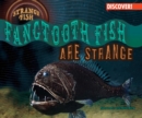 Image for Fangtooth Fish Are Strange