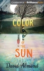 Image for COLOR OF THE SUN THE