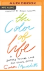 Image for The color of life  : a journey toward love and racial justice