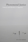 Image for Phenomenal justice  : violence and morality in Argentina