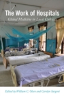 Image for The work of hospitals  : global medicine in local cultures