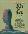 Image for Souls of Black folk  : a graphic interpretation