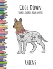 Image for Cool Down - Livre a colorier pour adultes