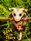Image for Hang in There