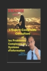 Image for L&#39;Expert-Comptable Consultant et les Problemes Complexes en Systeme d&#39;Information (Tome 1)