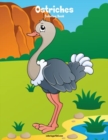 Image for Ostriches Coloring Book 1