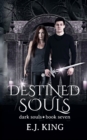 Image for Destined Souls