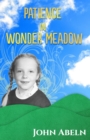 Image for Patience in Wonder Meadow : A Modern Fable