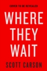 Image for Where They Wait : A Novel