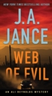 Image for Web of Evil : A Novel of Suspense