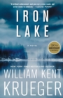 Image for Iron lake  : a novel