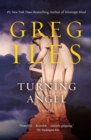 Image for Turning Angel : A Novel
