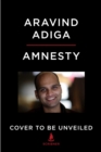 Image for Amnesty : A Novel