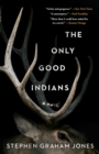 Image for The only good Indians: a novel