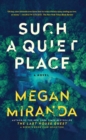 Image for Such a quiet place: a novel