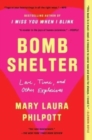 Image for Bomb Shelter : Love, Time, and Other Explosives