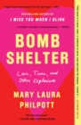 Image for Bomb Shelter: Love, Time, and Other Explosives