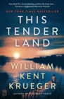 Image for This tender land  : a novel
