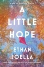Image for Little Hope: A Novel