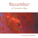 Image for December in Cinnamon Bay