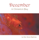 Image for December in Cinnamon Bay