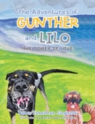 Image for The Adventures of Gunther and Lilo