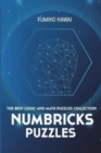 Image for Numbricks Puzzles