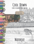 Image for Cool Down [Color] - Livre a colorier pour adultes