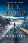 Image for Gray Mountain : A Novel