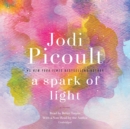 Image for Spark of Light: A Novel