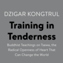 Image for Training in Tenderness: Buddhist Teachings on Tsewa, the Radical Openness of Heart That Can Change the  World