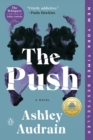 Image for The push: a novel