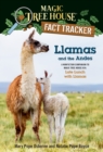 Image for Llamas and the Andes  : late lunch with llamas