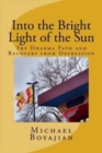 Image for Into the Bright Light of the Sun