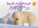 Image for Adult and Baby Animals (Inuktitut)