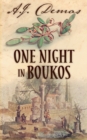 Image for One Night in Boukos
